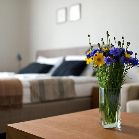 Апартаменты Visit And Паланга