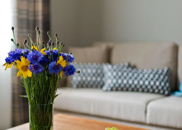 Palanga Visit apartamentai ir SPA