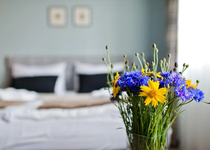 Butas Palanga Visit apartamentai ir SPA Palanga