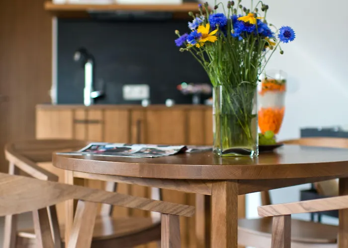 Visit And Apartman Palanga