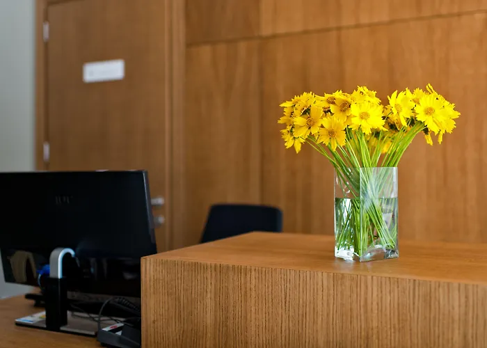 Palanga Visit apartamentai ir SPA *